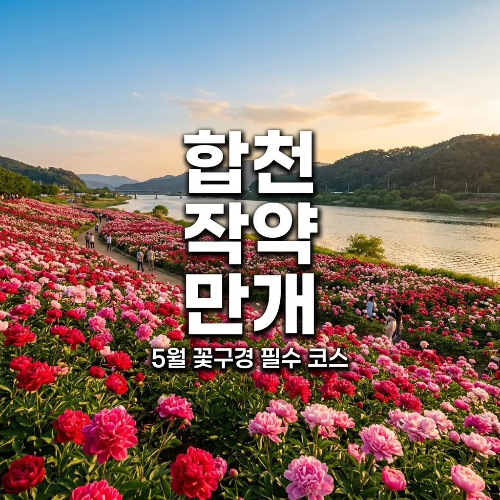 합천 핫들생태공원 작약꽃 만개 시기 및 5월 축제 총정리
