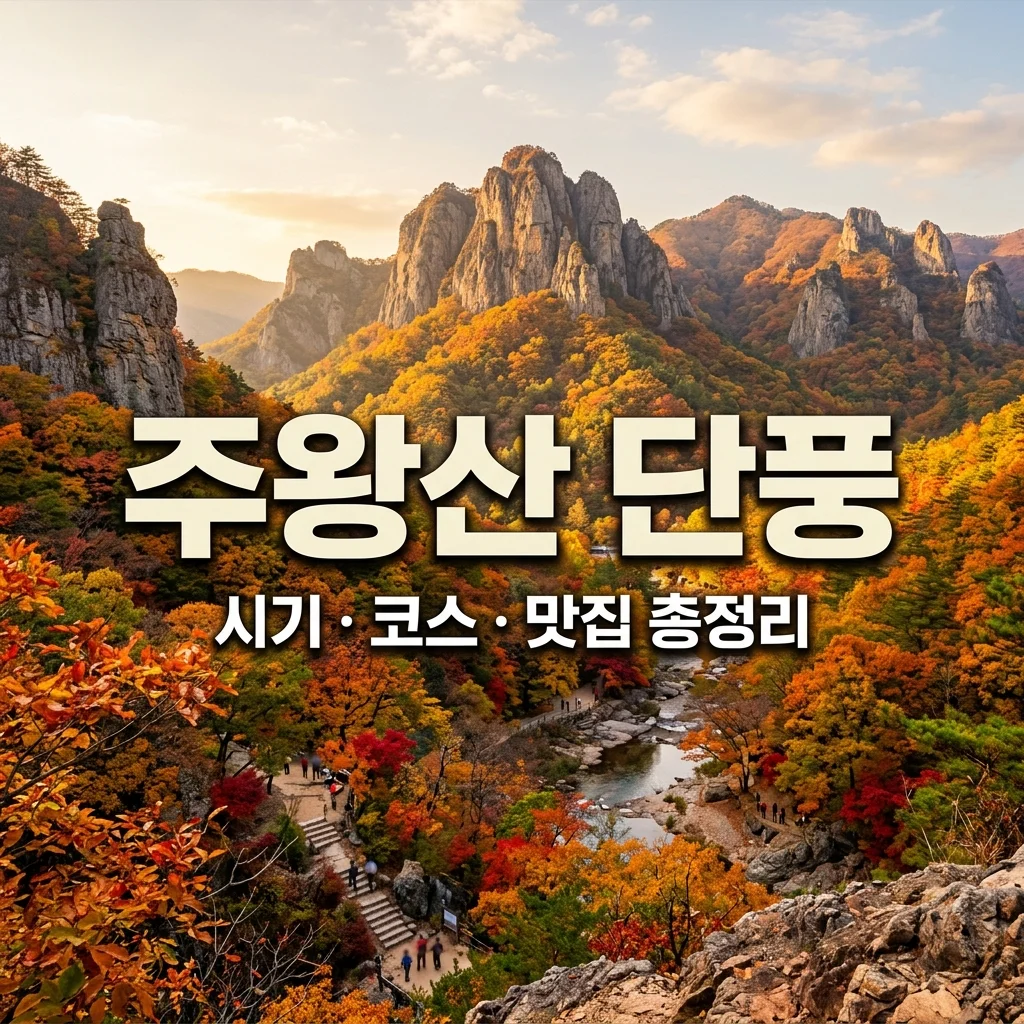 주왕산 단풍 시기 2026 절정 및 최단 등산코스 주차장 맛집 총정리